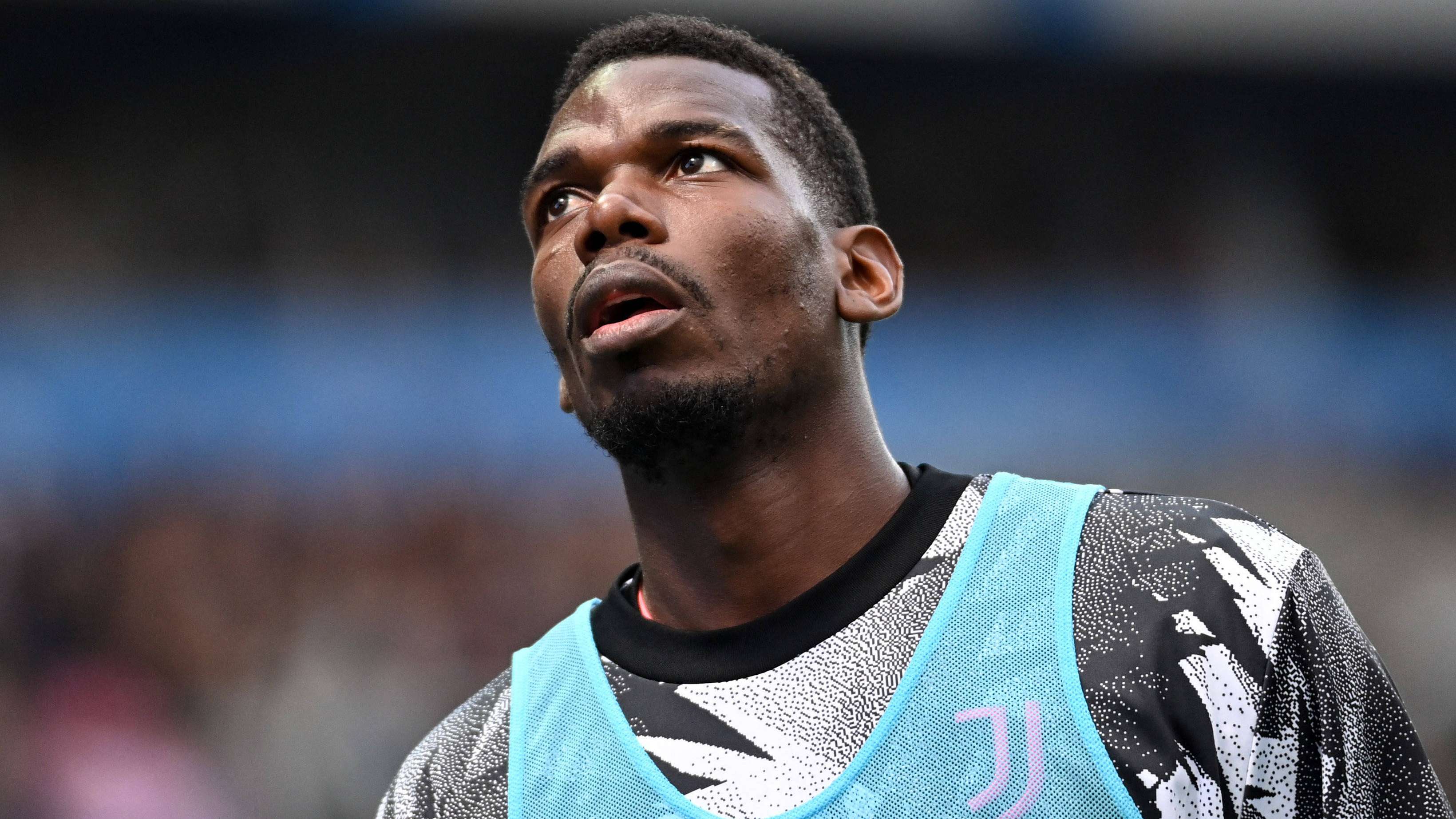 它不仅展示 它不仅展示