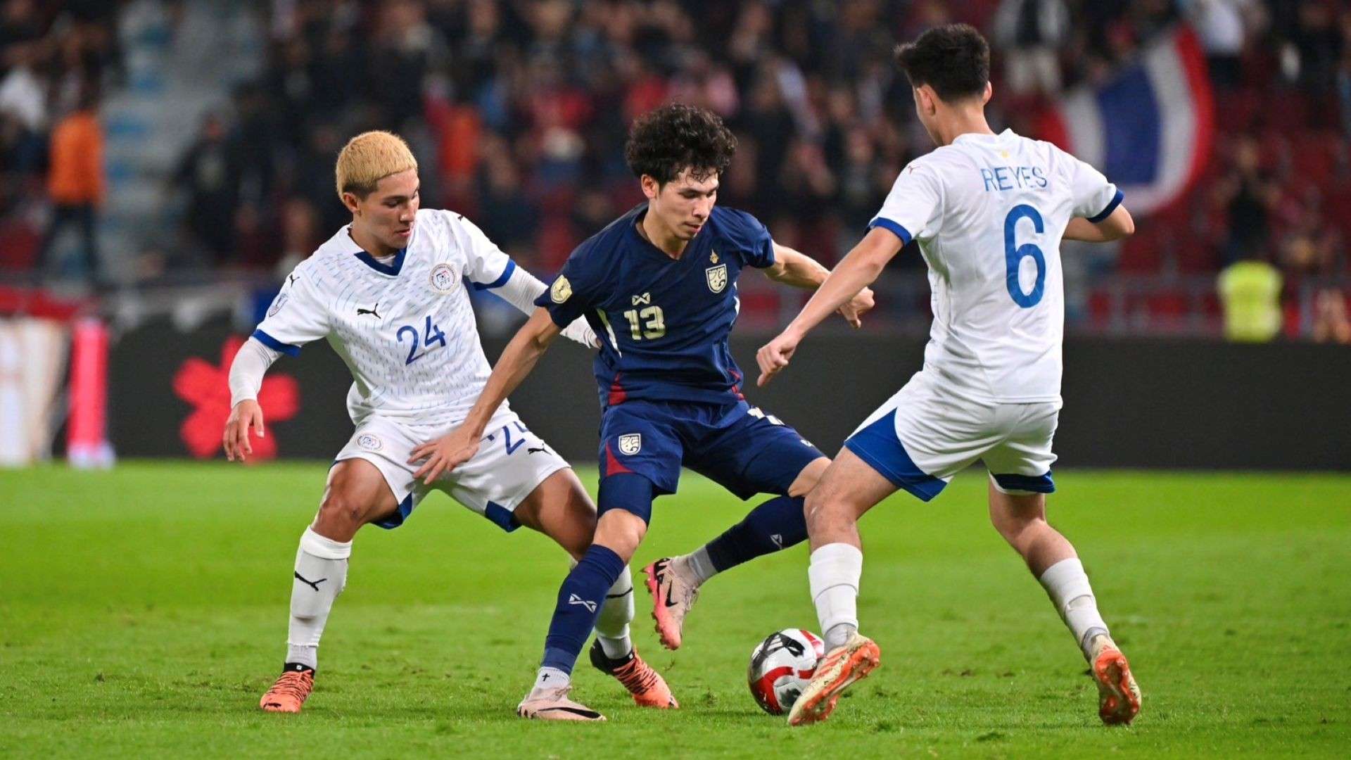 肉或韧带 肉或韧带