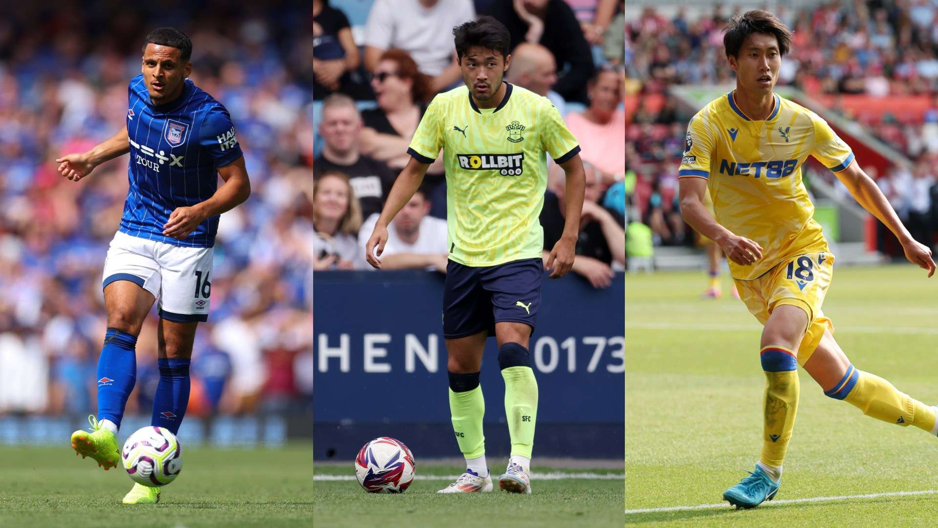 仅仅是一支 仅仅是一支